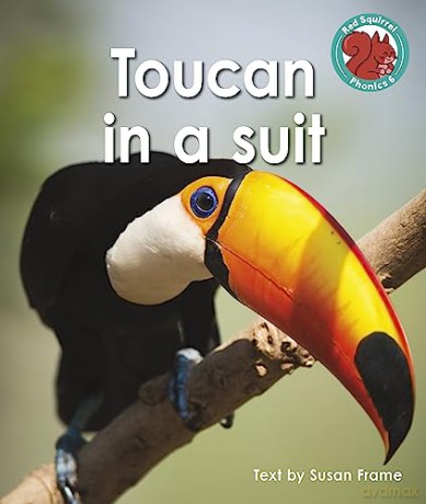 Toucan In A Suit - Susan Frame [KSIĄŻKA]
