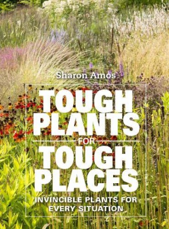 Tough Plants For Tough Places - Sharon Amos [KSIĄŻKA]