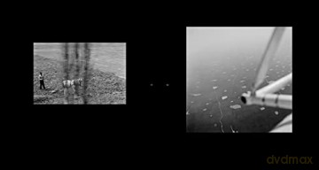 Tracings - Daniel Schwartz [KSIĄŻKA]