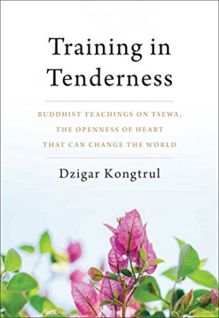 Training In Tenderness - Dzigar Kongtrul [KSIĄŻKA]