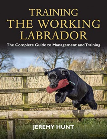 Training The Working Labrador: The Compl - Jeremy Hunt [KSIĄŻKA]