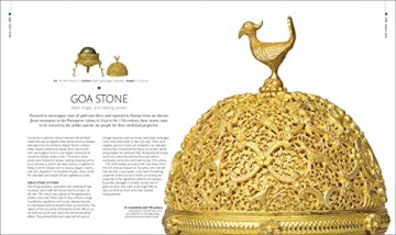 Treasures Of India - Dk India [KSIĄŻKA]