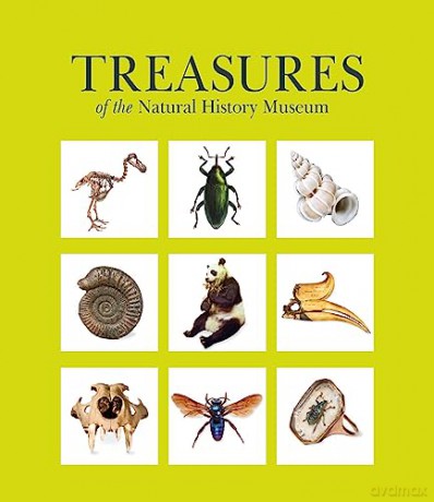 Treasures Of The Natural History Museum - Natural History Muse [KSIĄŻKA]