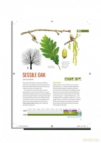 Tree Growers Guide - Tree Council [KSIĄŻKA]