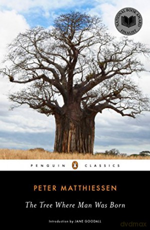 Tree Where Man Was Born - Peter Matthiessen [KSIĄŻKA]
