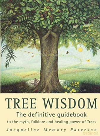 Tree Wisdom Tpb - Jacqueline Memory Pa [KSIĄŻKA]