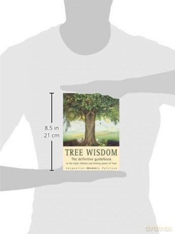 Tree Wisdom Tpb - Jacqueline Memory Pa [KSIĄŻKA]