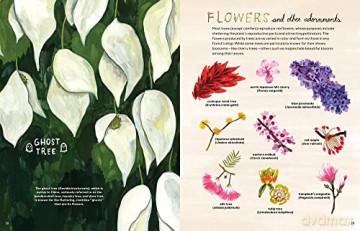 Trees An Illustrated Celebration - Kelsey Oseid [KSIĄŻKA]