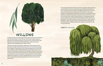 Trees An Illustrated Celebration - Kelsey Oseid [KSIĄŻKA]