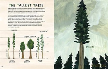 Trees An Illustrated Celebration - Kelsey Oseid [KSIĄŻKA]