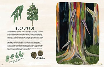Trees An Illustrated Celebration - Kelsey Oseid [KSIĄŻKA]