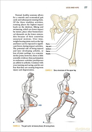 Triathlon Anatomy - Mark Klion [KSIĄŻKA]