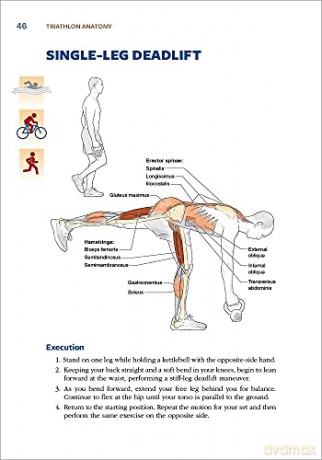 Triathlon Anatomy - Mark Klion [KSIĄŻKA]