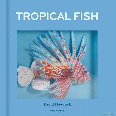 Tropical Fish - David Hawcock [KSIĄŻKA]