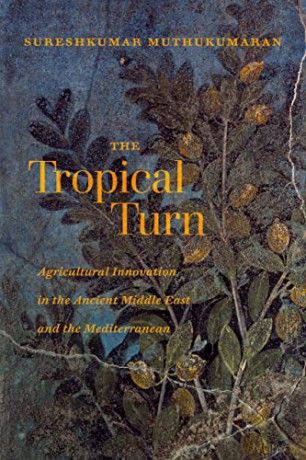 Tropical Turn - S Muthukumaran [KSIĄŻKA]