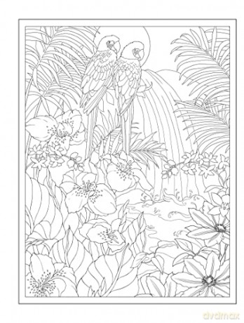 Tropical Wonders Coloring - Marty Noble [KSIĄŻKA]