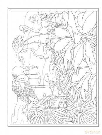 Tropical Wonders Coloring - Marty Noble [KSIĄŻKA]