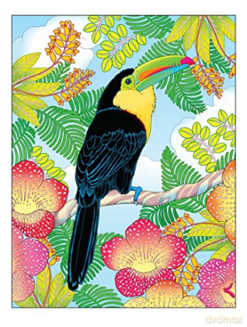 Tropical Wonders Coloring - Marty Noble [KSIĄŻKA]