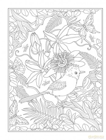 Tropical Wonders Coloring - Marty Noble [KSIĄŻKA]