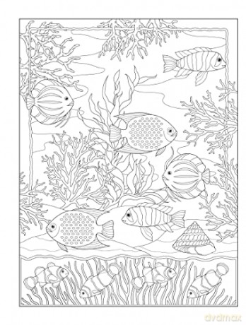 Tropical Wonders Coloring - Marty Noble [KSIĄŻKA]