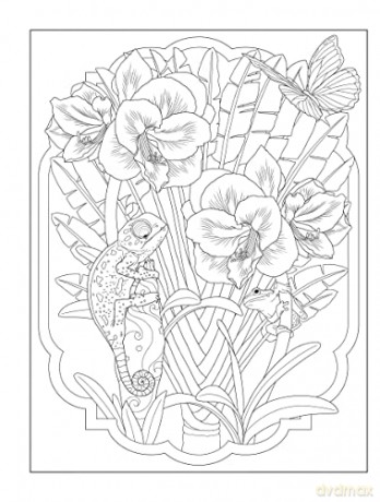 Tropical Wonders Coloring - Marty Noble [KSIĄŻKA]