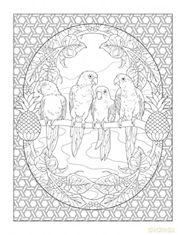 Tropical Wonders Coloring - Marty Noble [KSIĄŻKA]