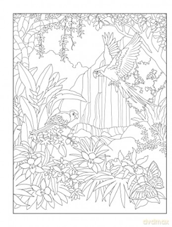 Tropical Wonders Coloring - Marty Noble [KSIĄŻKA]