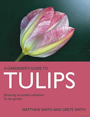 Tulips - Matthew Smith [KSIĄŻKA]