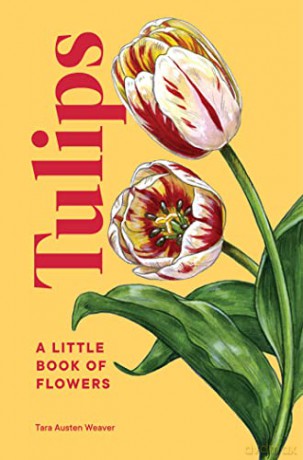Tulips - Tara Austen Weaver [KSIĄŻKA]