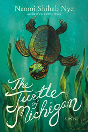 Turtle Of Michigan Pb - Nye Naomi [KSIĄŻKA]
