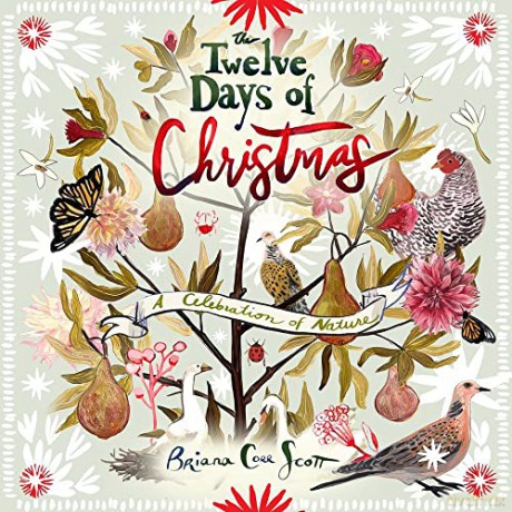 Twelve Days Of Christmas - Briana Corr Scott [KSIĄŻKA]