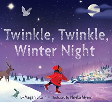 Twinkle Twinkle Winter Night - Megan Litwin [KSIĄŻKA]