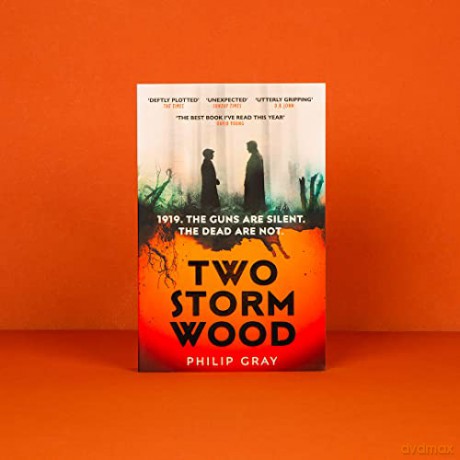 Two Storm Wood - Philip Gray [KSIĄŻKA]