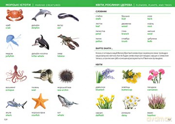 Ukrainian English Visual Dictionary - Collins Dictionaries [KSIĄŻKA]