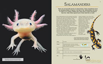 Ultimate Book Of Animals - Claudia Martin [KSIĄŻKA]
