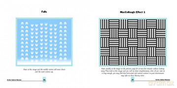 Ultimate Book Of Optical Illusions The - Al Seckel [KSIĄŻKA]