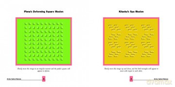 Ultimate Book Of Optical Illusions The - Al Seckel [KSIĄŻKA]