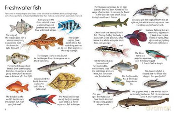 Ultimate Fish Sea Life Sticker Book With - Armadillo [KSIĄŻKA]