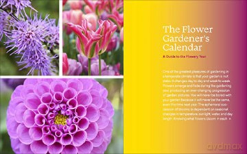Ultimate Flower Gardeners Guide - Rose Jenny Carey [KSIĄŻKA]