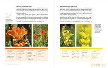 Ultimate Flower Gardeners Guide - Rose Jenny Carey [KSIĄŻKA]