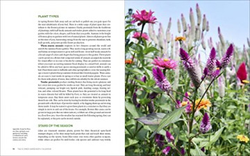 Ultimate Flower Gardeners Guide - Rose Jenny Carey [KSIĄŻKA]