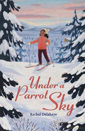 Under A Parrot Sky Ks2 Level 6 - Rachel Delahaye [KSIĄŻKA]