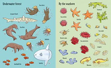 Under The Sea Sticker Book - Jessica Greenwell [KSIĄŻKA]