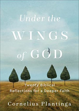 Under The Wings Of God - Cornelius Plantinga [KSIĄŻKA]