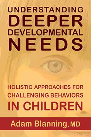 Understanding Deeper Developmental Needs - Adam Blanning [KSIĄŻKA]