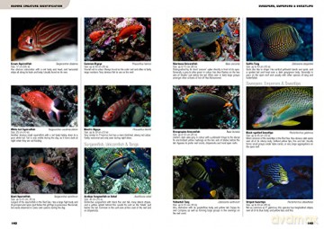 Underwater Guide To The Red Sea - Lawson Wood [KSIĄŻKA]