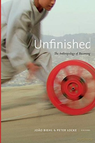 Unfinished - Jo O Biehl [KSIĄŻKA]