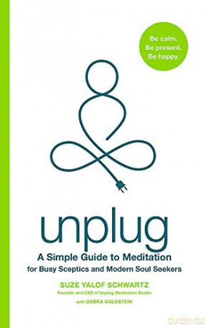 Unplug - Suze Yalof Schwartz [KSIĄŻKA]