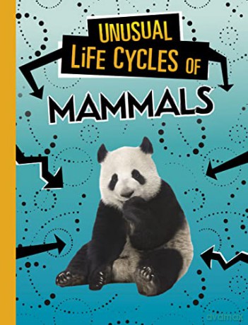 Unusual Life Cycles Of Mammals - Jaclyn Jaycox [KSIĄŻKA]