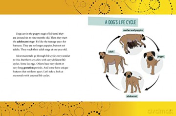 Unusual Life Cycles Of Mammals - Jaclyn Jaycox [KSIĄŻKA]